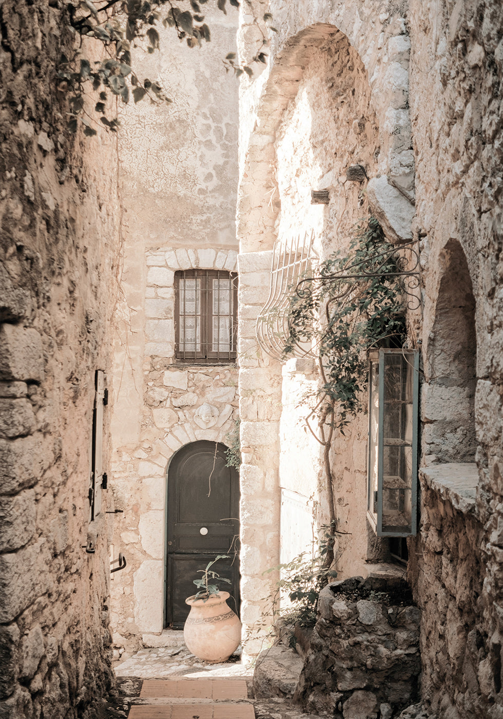 eine schmale Gasse mit einer Topfpflanze an der Seite