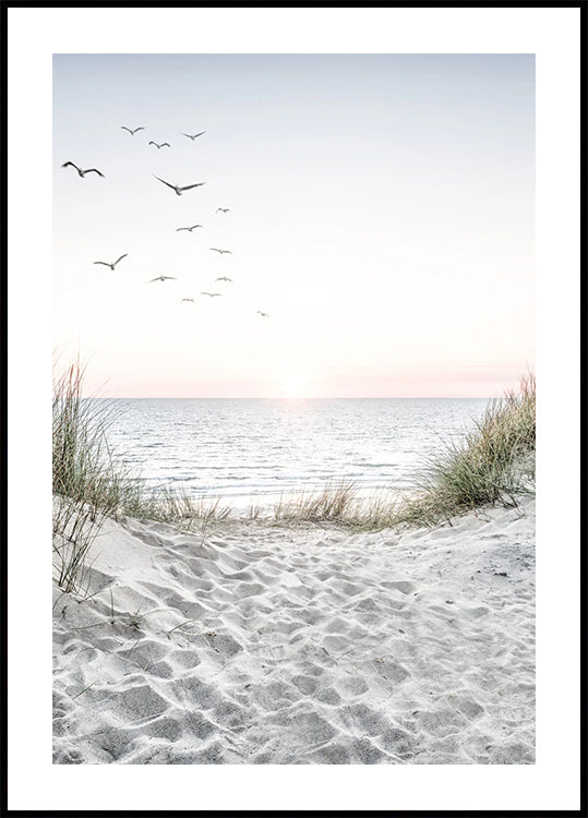 Möwen und Sandstrand-Poster - Posterbox.dk