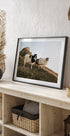 Schafe von Island Poster - Posterbox.dk