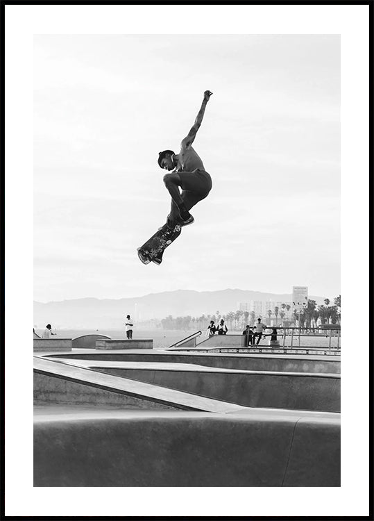 Skater-Poster - Posterbox.dk