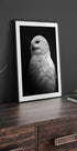 Schneeeule in Schwarz-Weiß-Poster - Posterbox.dk