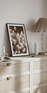 Sanfte Eleganz des Lagurus-Posters - Posterbox.dk