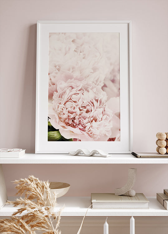 ein Bild einer rosa Blume auf einem Regal