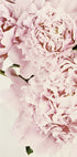 eine Nahaufnahme eines Straußes rosa Blumen