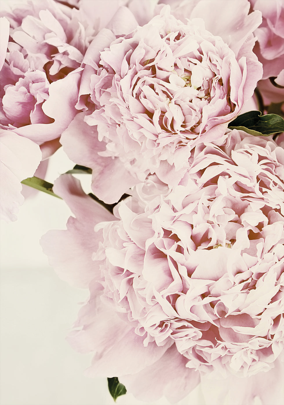 eine Nahaufnahme eines Straußes rosa Blumen