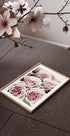 Zartrosa Rosen-Poster - Posterbox.dk