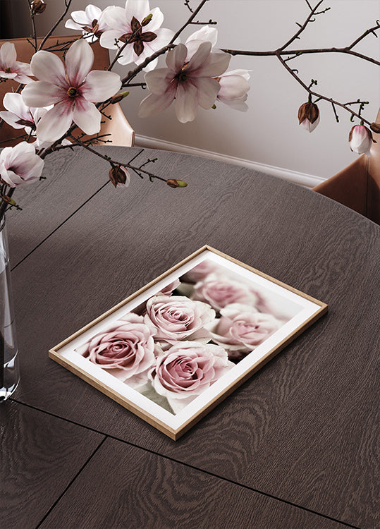 Zartrosa Rosen-Poster - Posterbox.dk
