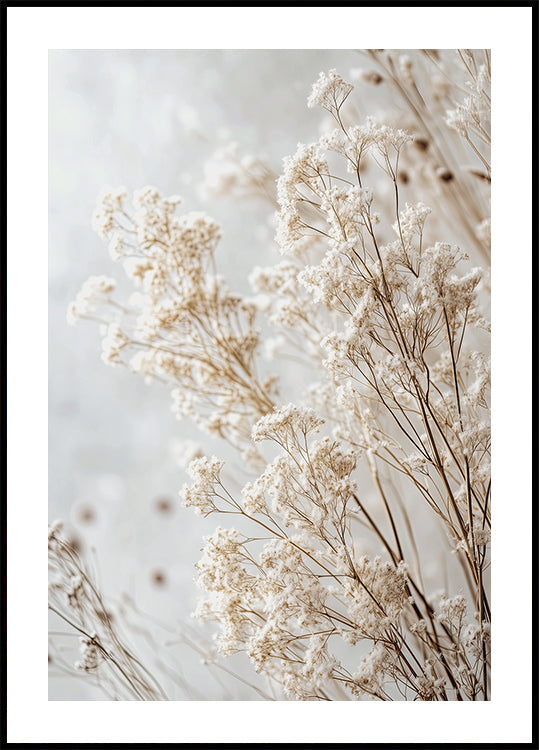 Sanftes Flüstern getrockneter Wildblumen in hellen Tönen Poster - Posterbox.dk