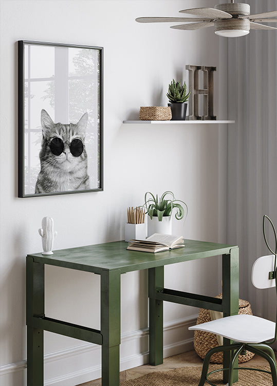 Anspruchsvolle Katze mit Sonnenbrille Poster - Posterbox.dk