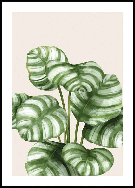 Gestreiftes botanisches Poster mit grünen Blättern - Posterbox.dk