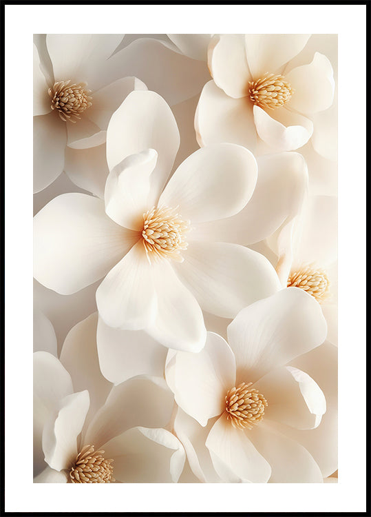ein Bild eines Straußes weißer Blumen