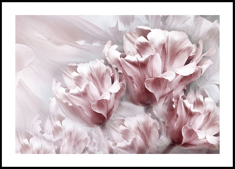 Poster mit zartrosa Tulpen - Posterbox.dk