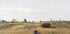 Die Ernte von Charles-François Daubigny Poster - Posterbox.dk