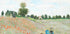 Das Mohnfeld 1873 Poster von Claude Monet - Posterbox.dk