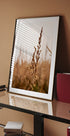 Ruhiges Strandgras-Poster - Posterbox.dk