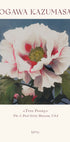 Strauchpfingstrose, Ogawa Kazumasa Foral Poster - Posterbox.dk