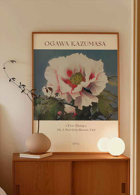 Strauchpfingstrose, Ogawa Kazumasa Foral Poster - Posterbox.dk
