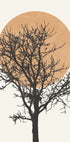 Baumsilhouette und Sonne Poster - Posterbox.dk