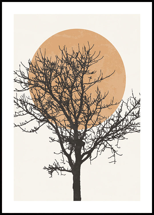 Baumsilhouette und Sonne Poster - Posterbox.dk