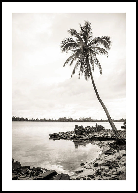 Tropische Palme am Strand Poster - Posterbox.dk