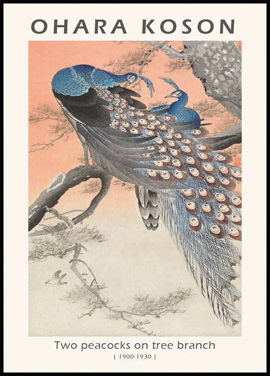 Zwei Pfauen, japanischer Holzschnitt von Ohara Koson Plaklat - Posterbox.dk