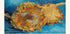 V. Gogh-Sonnenblumen-Poster - Posterbox.dk