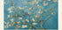Vincent van Gogh – Mandelblüten-Poster – Posterbox.dk