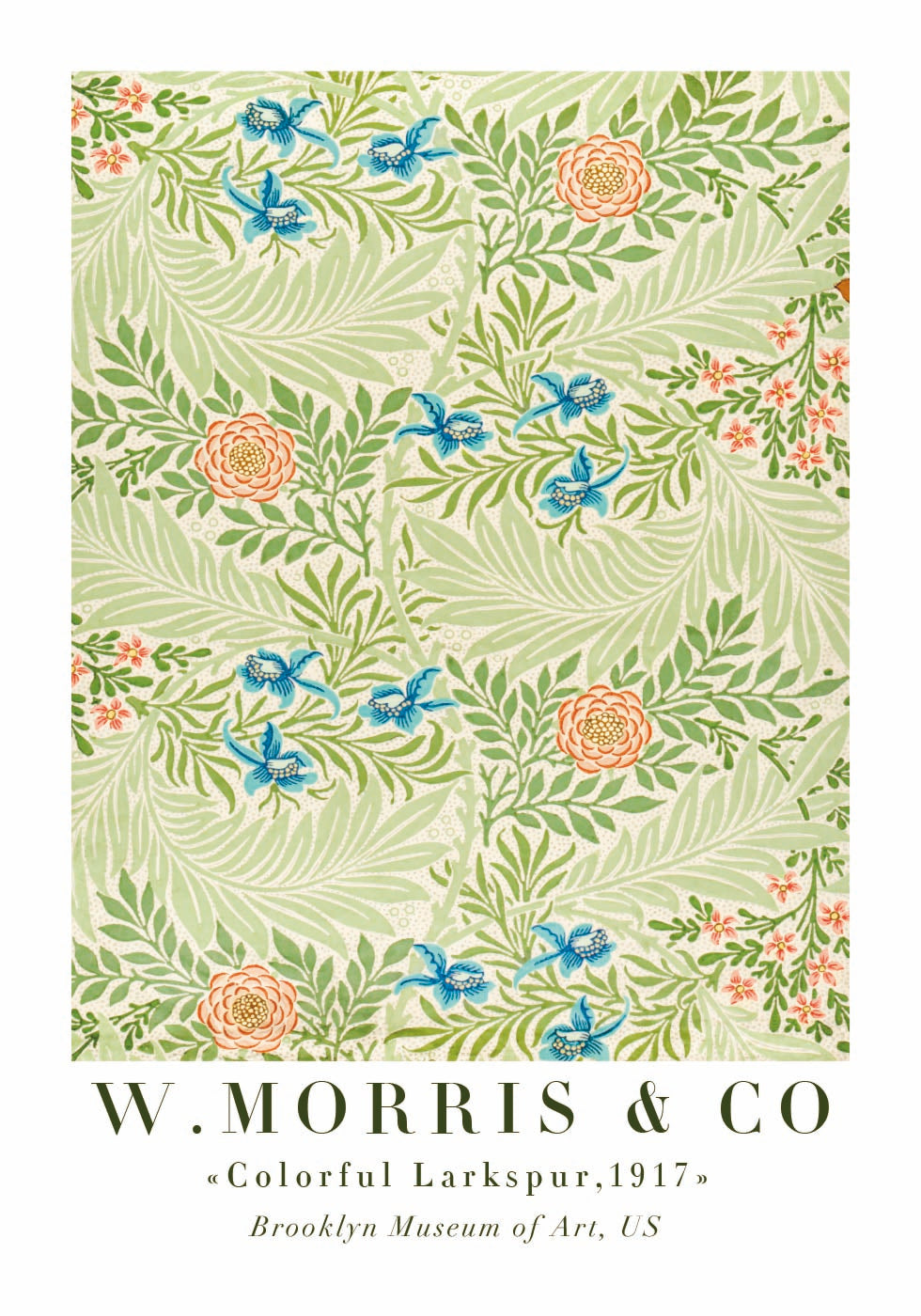 W. Morris & Co – Buntes Rittersporn-Poster – Posterbox.dk