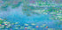 Seerosen von Claude Monet 1906 Poster - Posterbox.dk