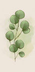 Aquarell Eukalyptus Botanisches Poster - Posterbox.dk