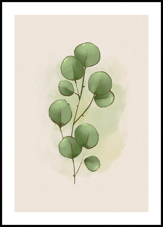 Aquarell Eukalyptus Botanisches Poster - Posterbox.dk