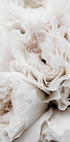 Poster mit weißen blühenden Rosen - Posterbox.dk