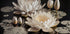 Poster mit weißen Lotusblumen - Posterbox.dk