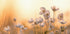 Wilde Anemone bei Sonnenuntergang Poster - Posterbox.dk