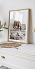 Wildpferd in ruhiger Landschaft Naturposter - Posterbox.dk
