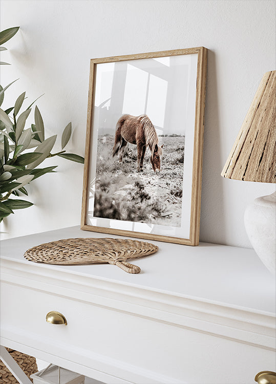 Wildpferd in ruhiger Landschaft Naturposter - Posterbox.dk