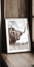 Winter-Hochlandkuh-Poster - Posterbox.dk