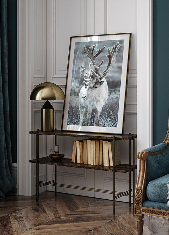 Winter-Rentier in frostiger Landschaft Poster - Posterbox.dk