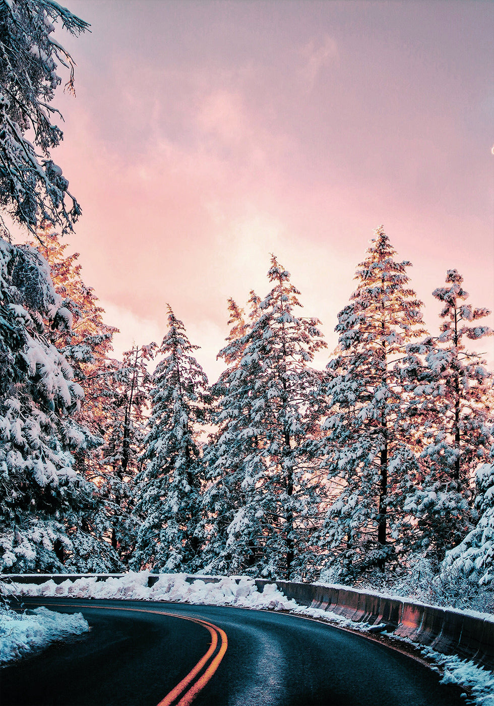 Winter Winding Road Poster - Posterbox.dk
