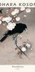 Holzschnitt, Krähe auf Kirschblütenzweig von Ohara Koson Poster - Posterbox.dk
