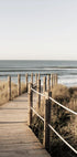 Hölzerner Weg zum Strand, Küstenpromenade-Poster - Posterbox.dk