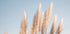 Winter in Portugal Plakat - Posterbox