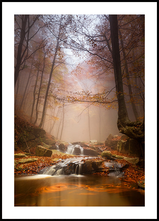 Mistyc mist Plakat - Posterbox