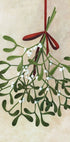 Mistletoe bouquet with bow Plakat - Posterbox