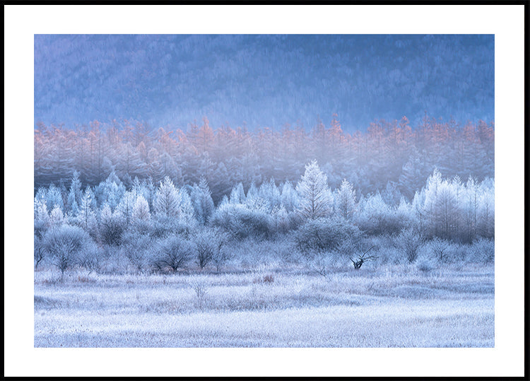 Autumn and Winter gradients Plakat - Posterbox