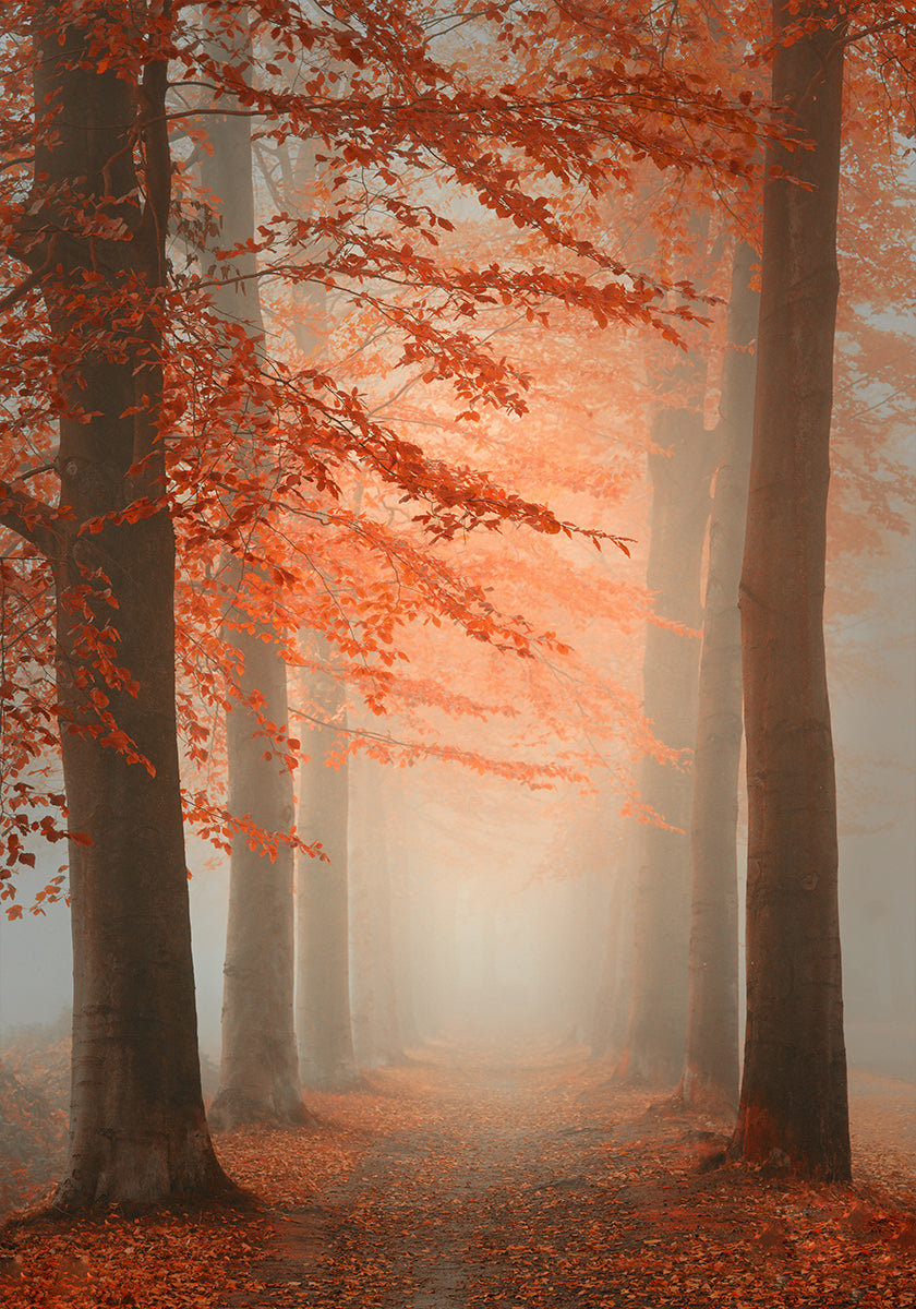 Autumn Dream Plakat - Posterbox
