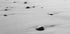 Kleine Steine ​​am Strand Poster - Posterbox.dk
