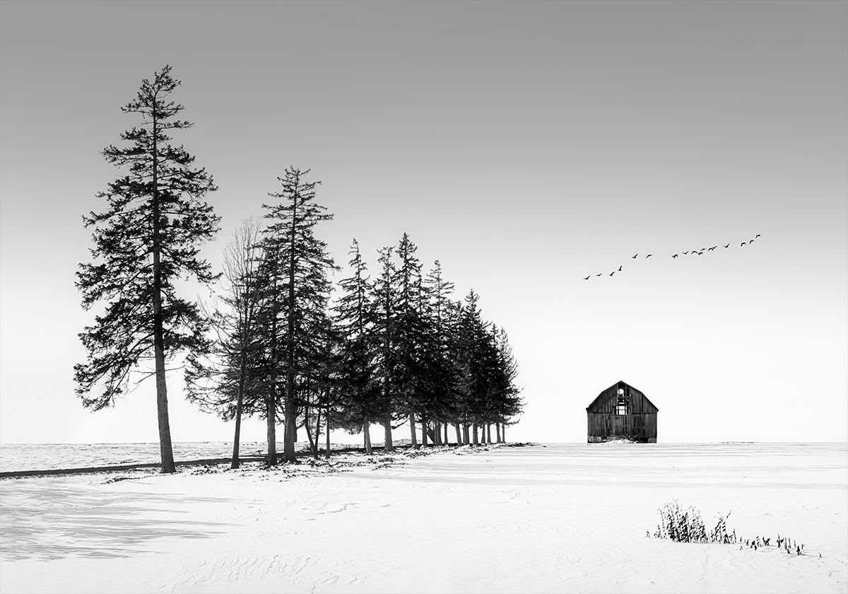 A Sunny Winter Day Plakat - Posterbox