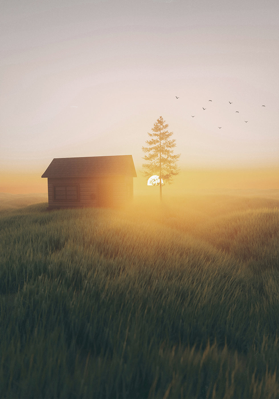 Poster „Sonnenuntergang im Feld“ - Posterbox.dk