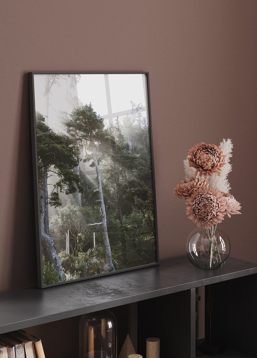 Sonnenschein durch den Nebel Poster - Posterbox.dk